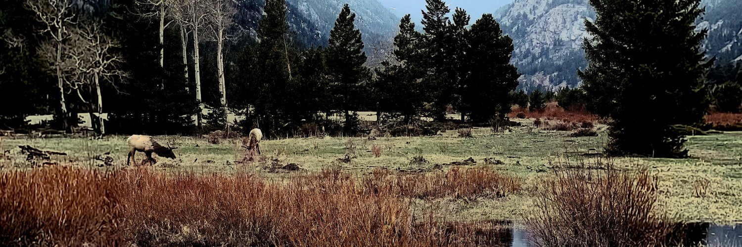 SonicPondPhoto's profile banner image