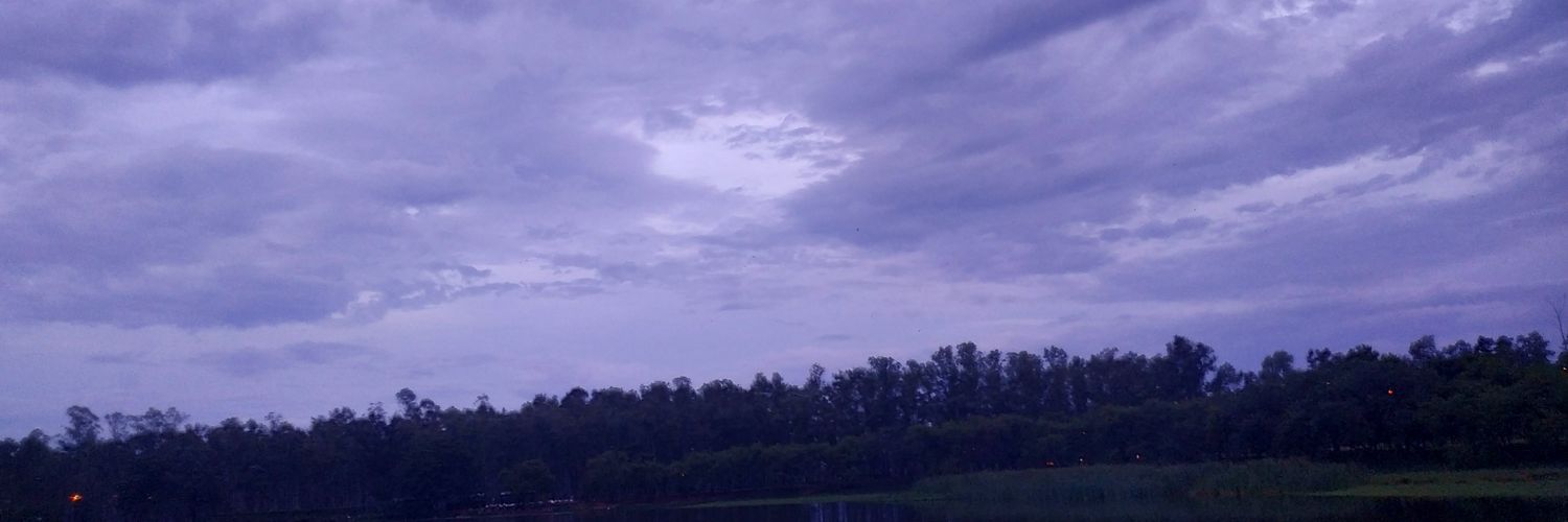 _PedroNarvaez's profile banner image