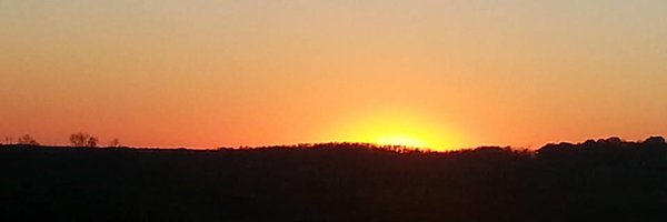 skywolf_fem2 Profile Banner