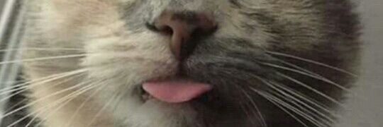TomiscJ's profile banner image