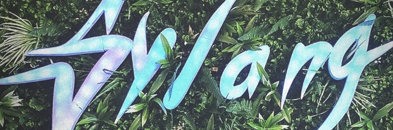 Sylang banner