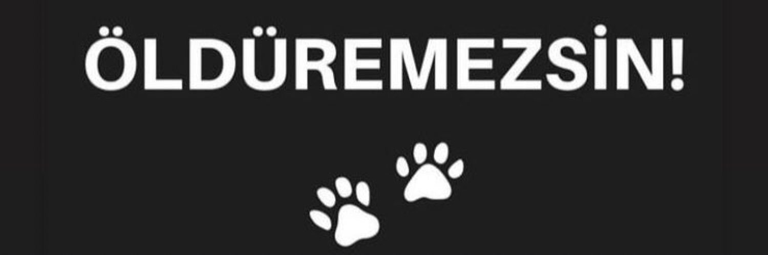 grey_freud's profile banner image