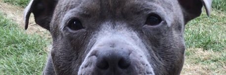 dj_whitey_'s profile banner image