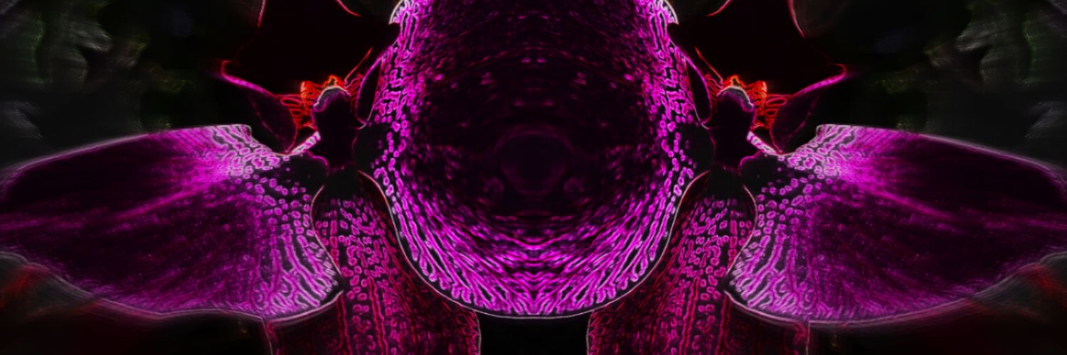 luxirix7's profile banner image