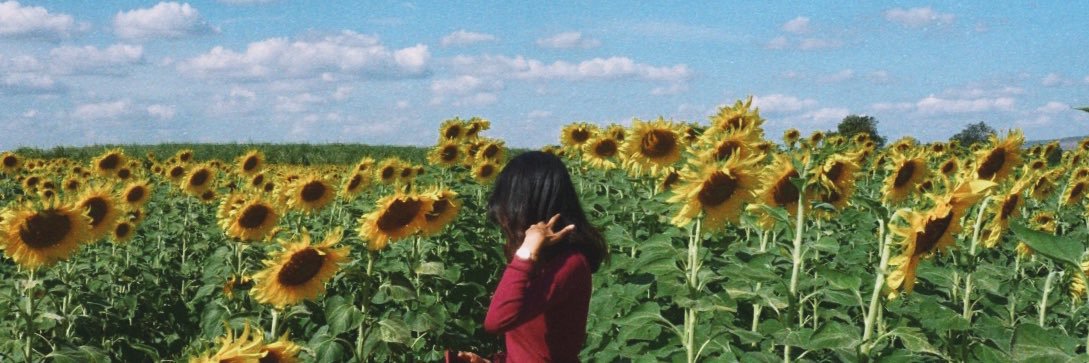 arisya_'s profile banner image