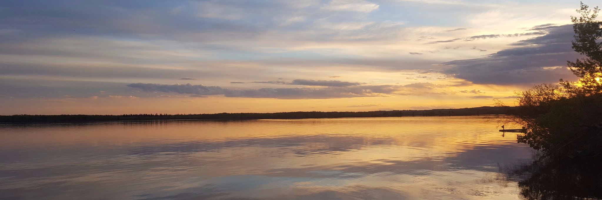 HodgsonMatthew's profile banner image