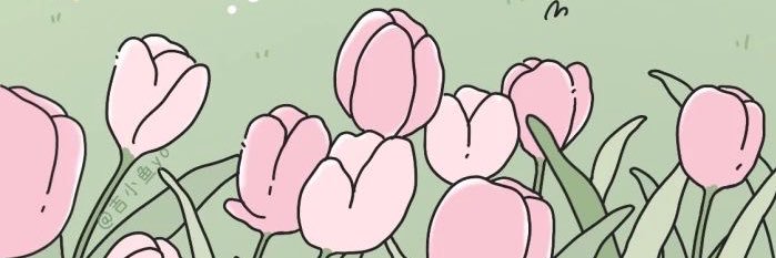 Shayla_Avers's profile banner image