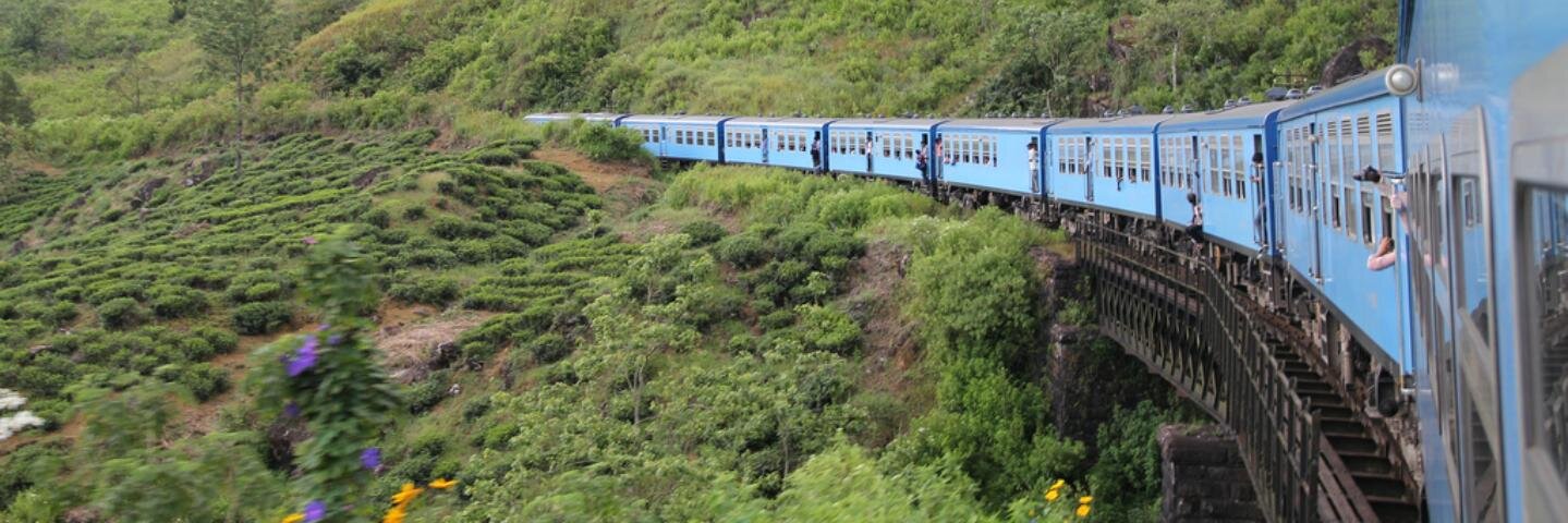steenings's profile banner image