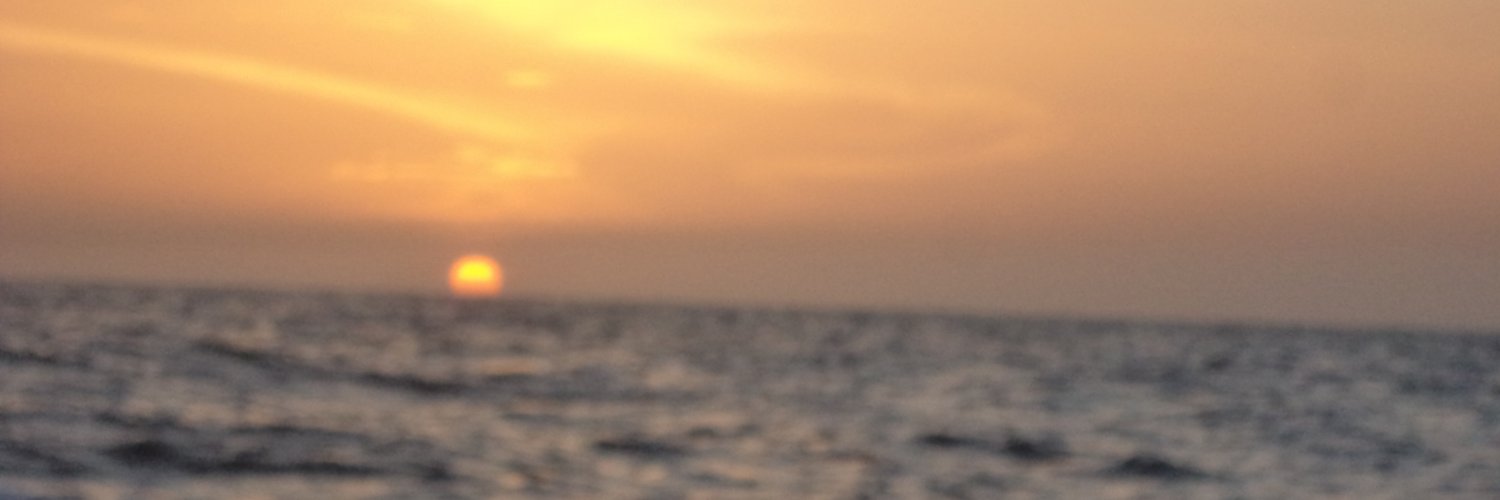 vmiss8a's profile banner image