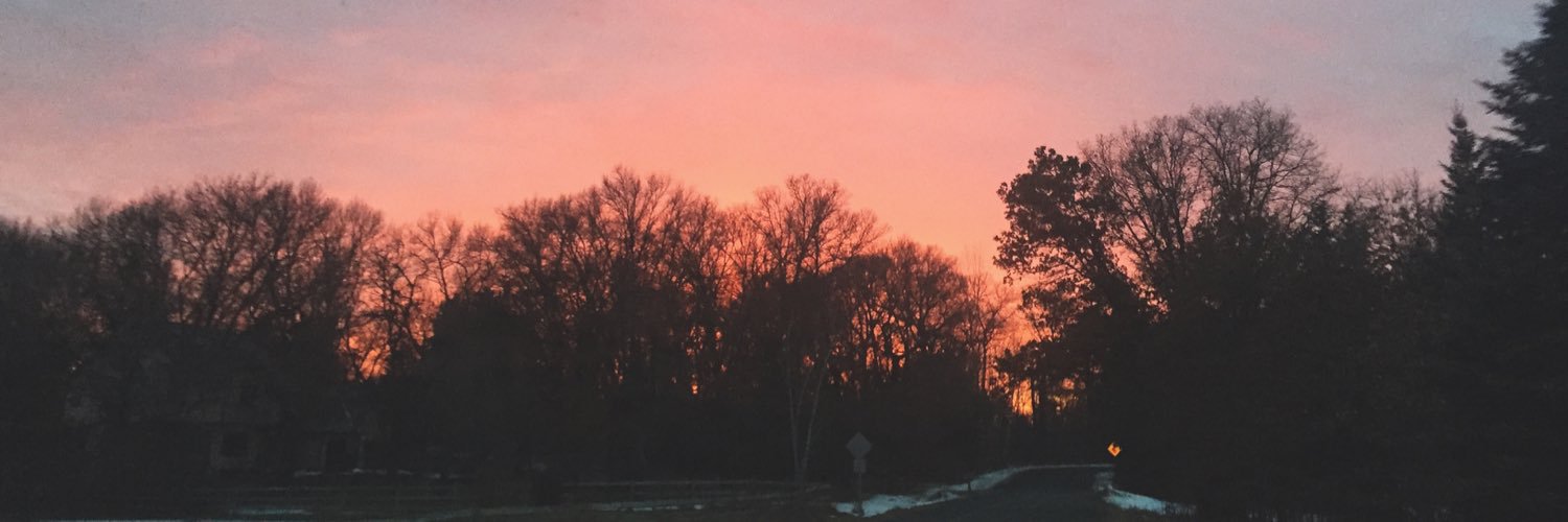 Emily_Mulvaney's profile banner image