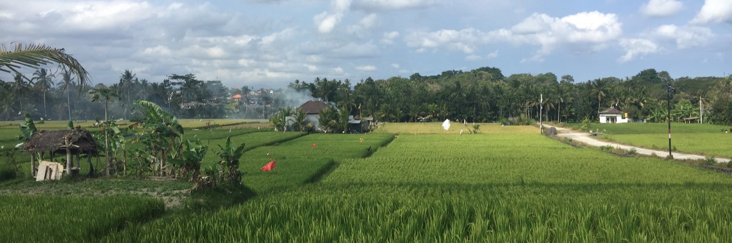 Rachel Baffsky banner