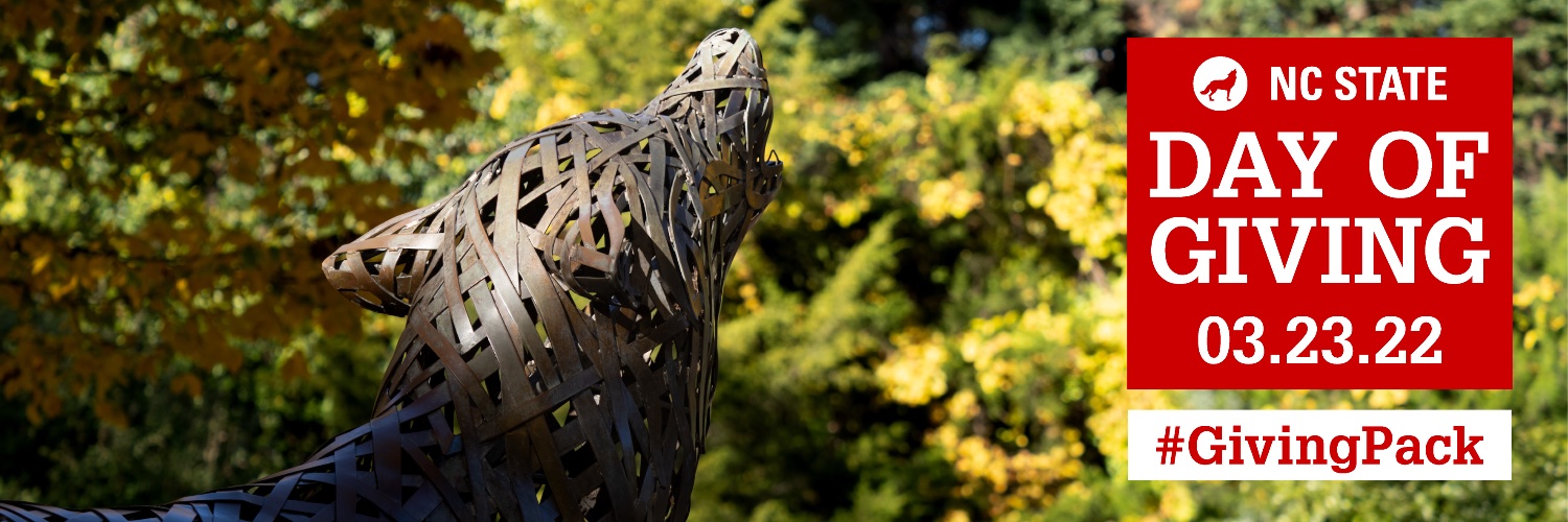 caflink's profile banner image