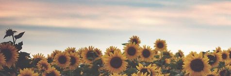 FernandaaRubio's profile banner image