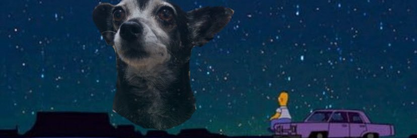 hlrmlss's profile banner image