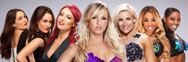 Fearless Diva banner