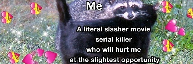Airkittycat15's profile banner image