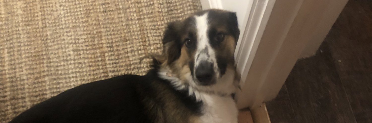 jamesicockburn's profile banner image