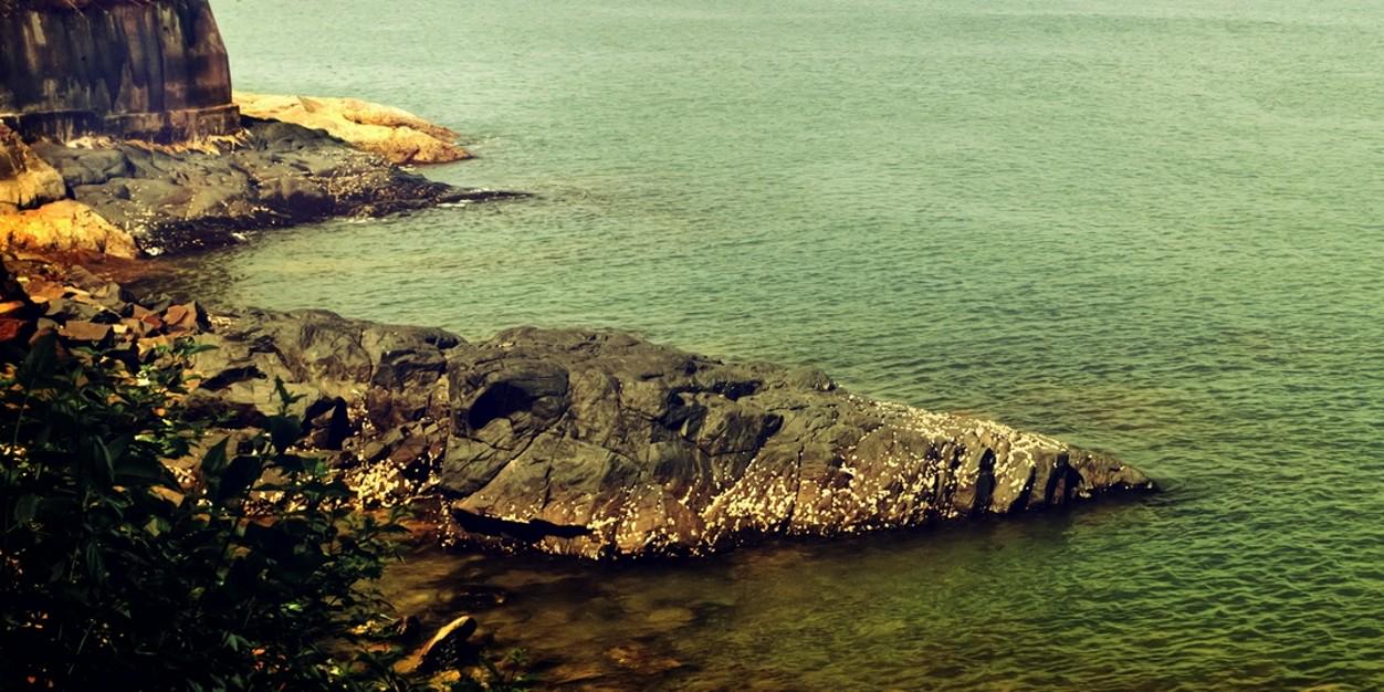 bhaswat11's profile banner image