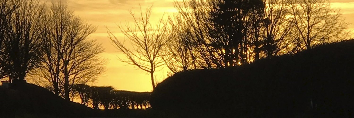 Zippynik's profile banner image