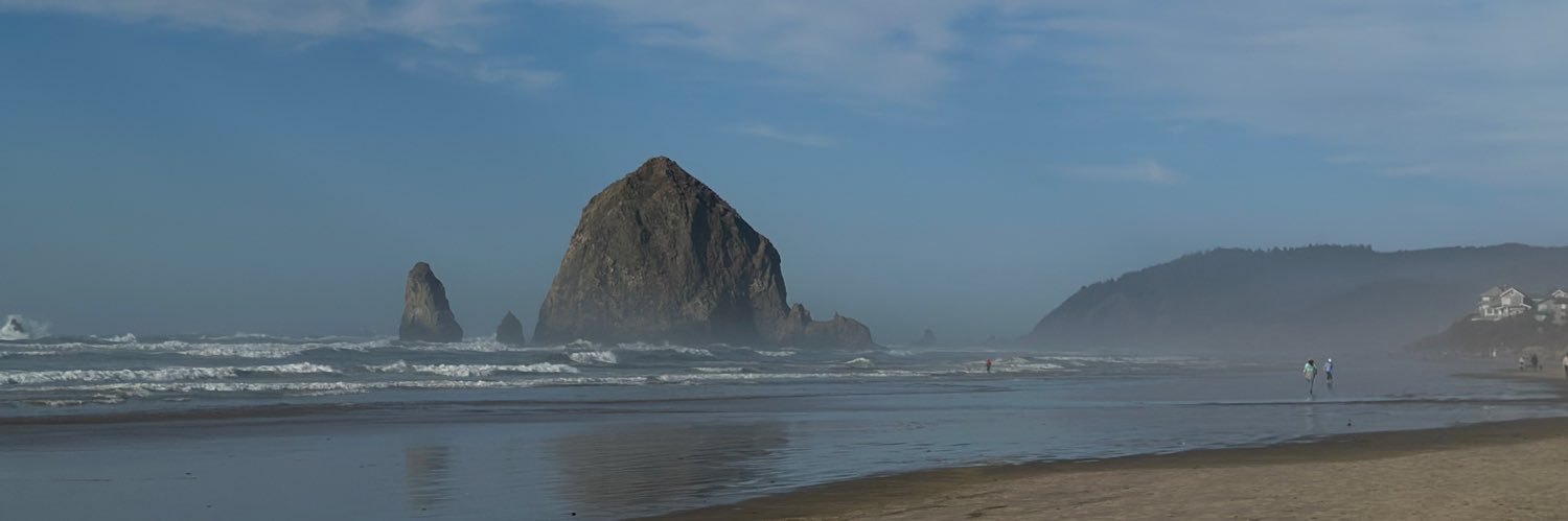 LittlePuentes's profile banner image