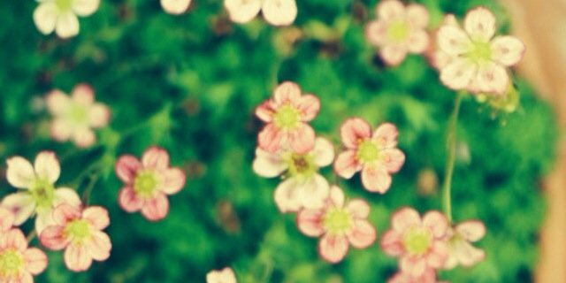 CharlieHolderX's profile banner image