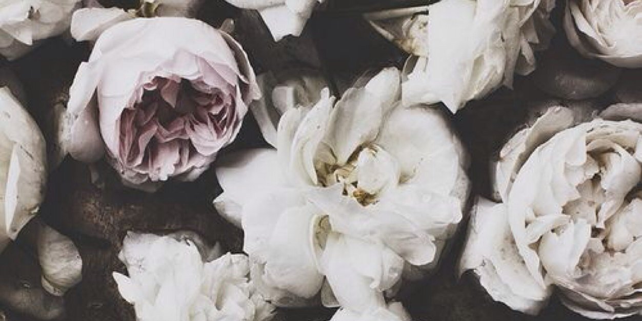 hanna_blom's profile banner image