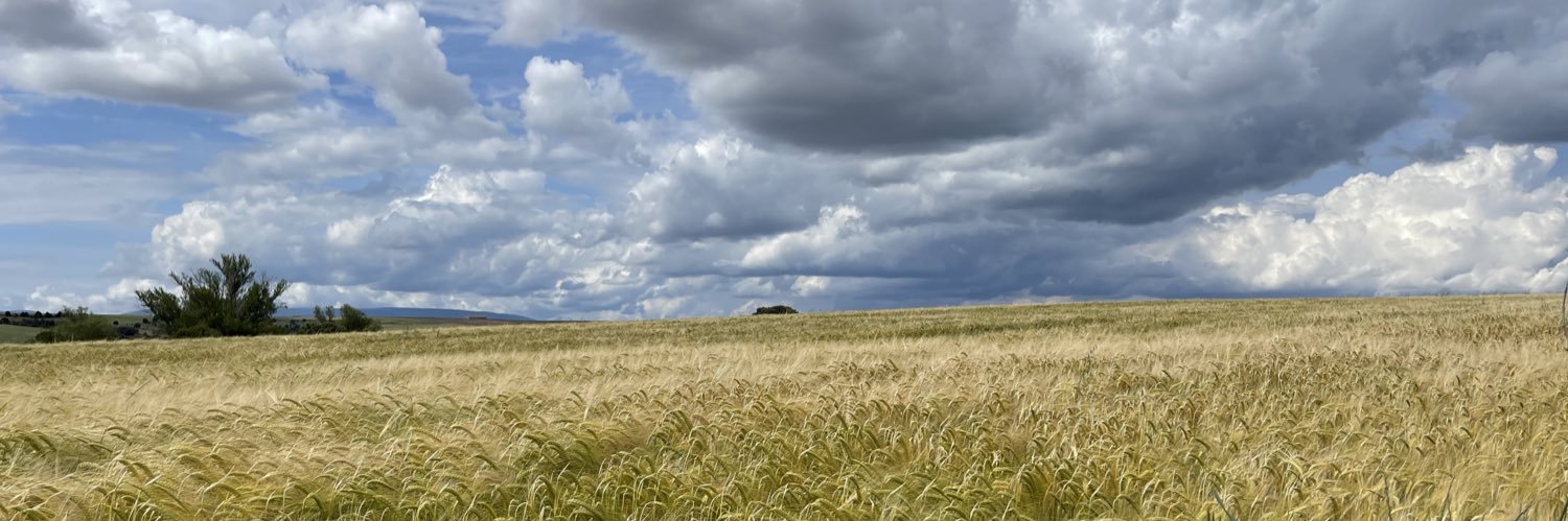 César Giner 🇪🇸 🇪🇺 banner