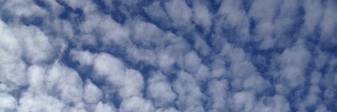trevcorkum's profile banner image