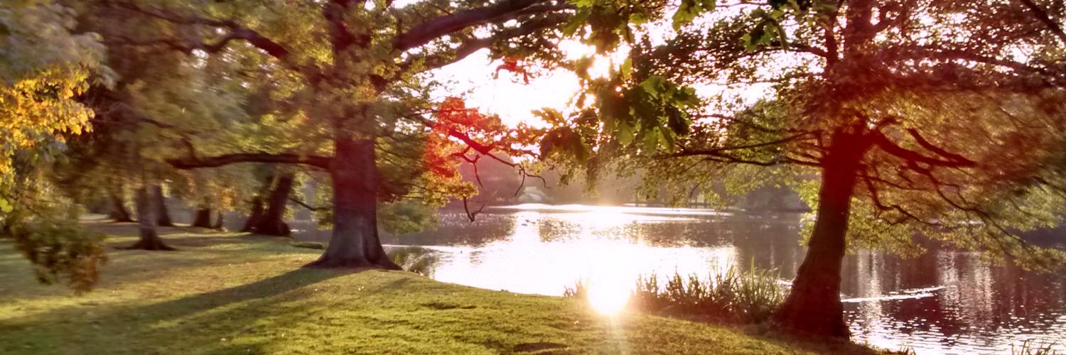 lim_matt2's profile banner image