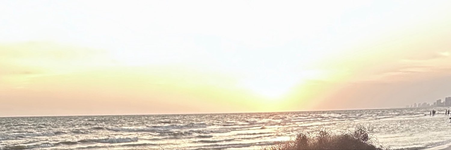 LaceyDelayne's profile banner image