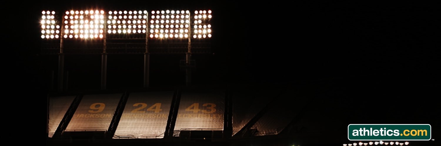 Michael Matthews banner