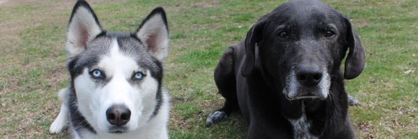 kmayoTechTeach Profile Banner