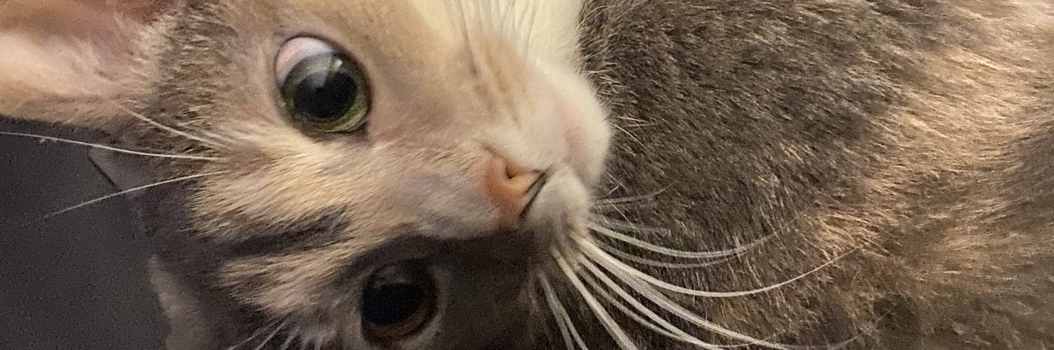 Kosign_'s profile banner image