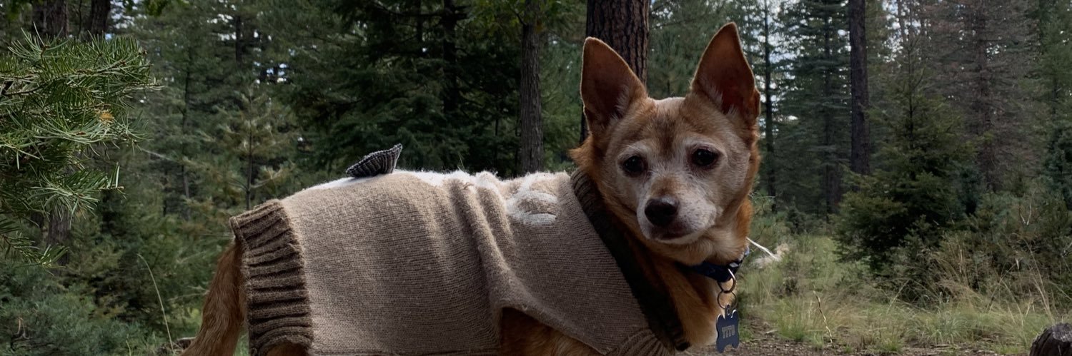 beebster's profile banner image