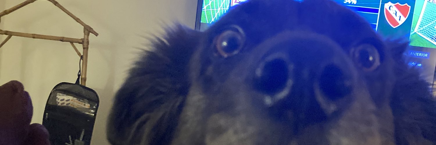 CinolloVernengo's profile banner image