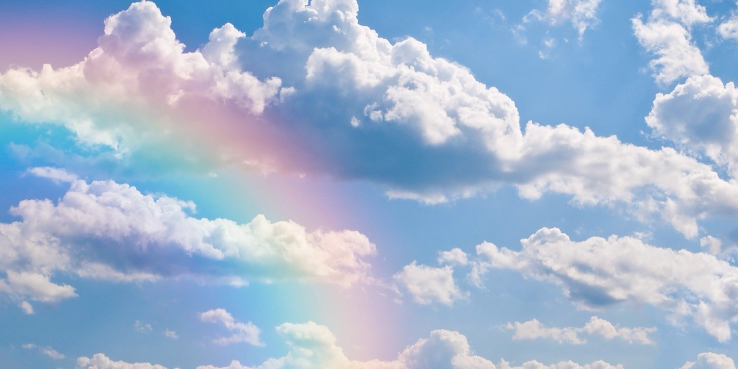 RocioVelsquez's profile banner image