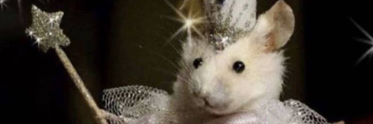 Vergil's banner