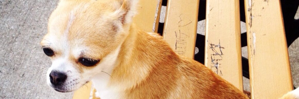 azndimsum's profile banner image