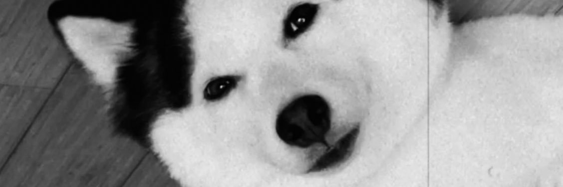 ameliaariley's profile banner image