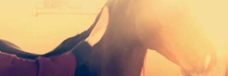 Albandery_Alsh's profile banner image