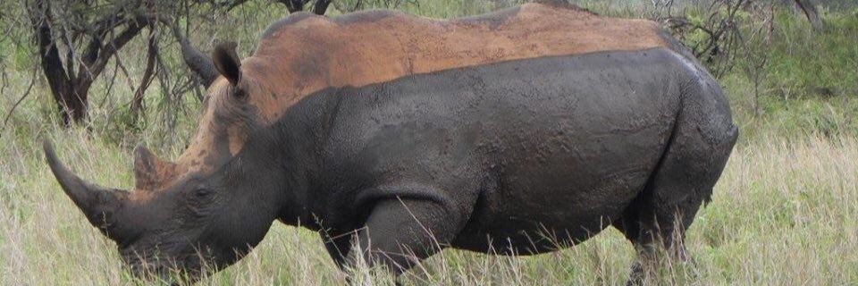 MarkStanbridge1's profile banner image