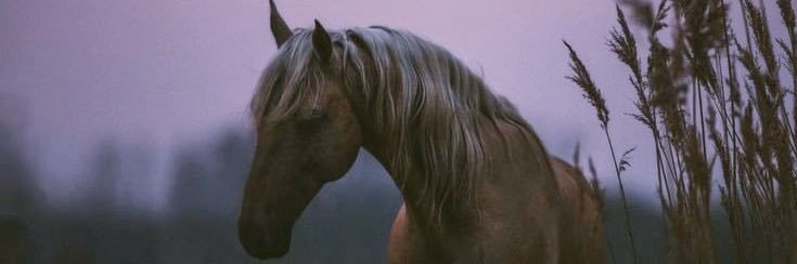 Keebere's profile banner image