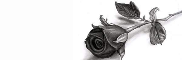 GAREALEX1's profile banner image
