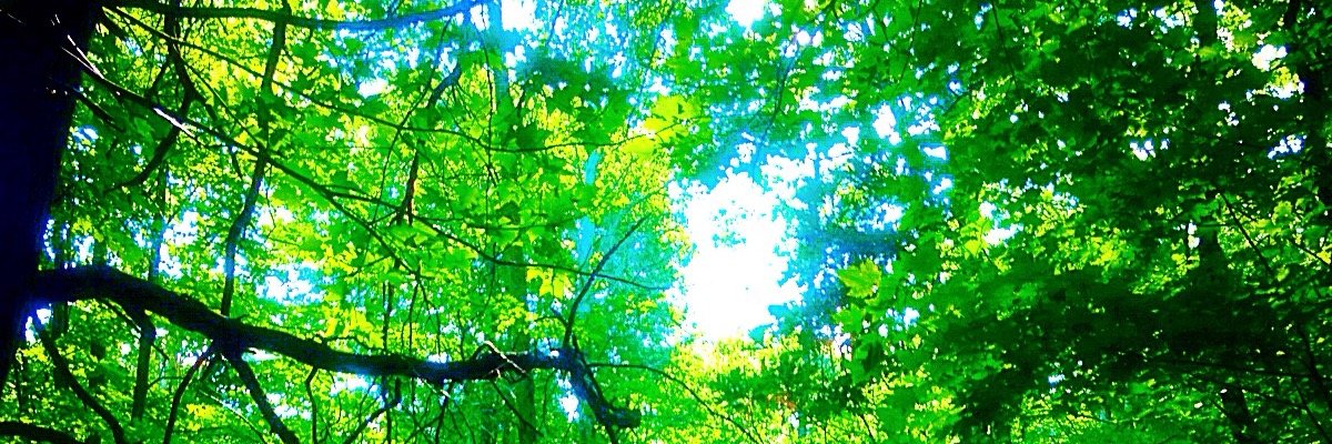 MarioKasuba25's profile banner image