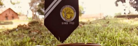 LetaLucky1's profile banner image