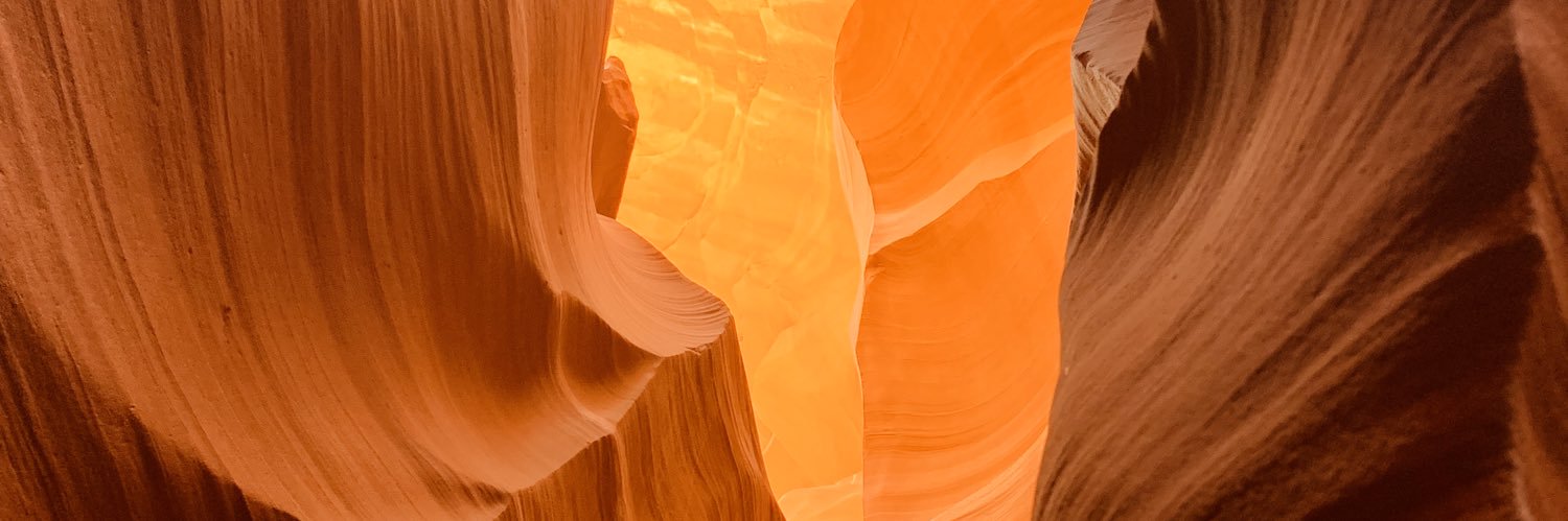 wolfepack_22's profile banner image