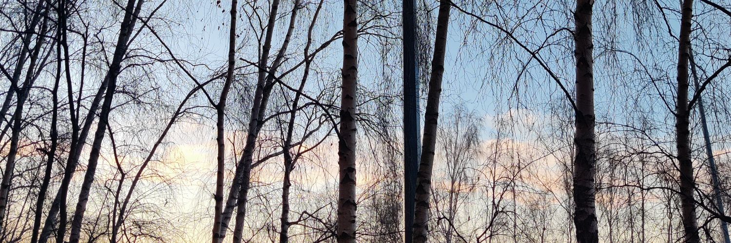 Eduardo Carrillo banner