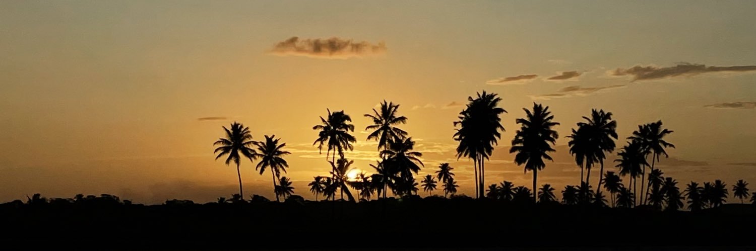 Ronanbonfim's profile banner image