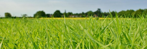 tomsizmur Profile Banner