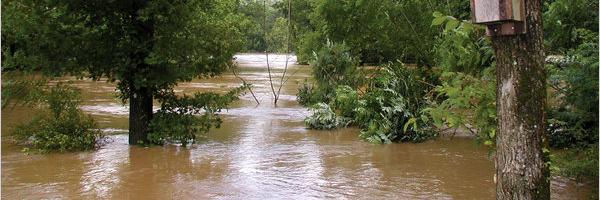 AFMA_Floods's profile banner image